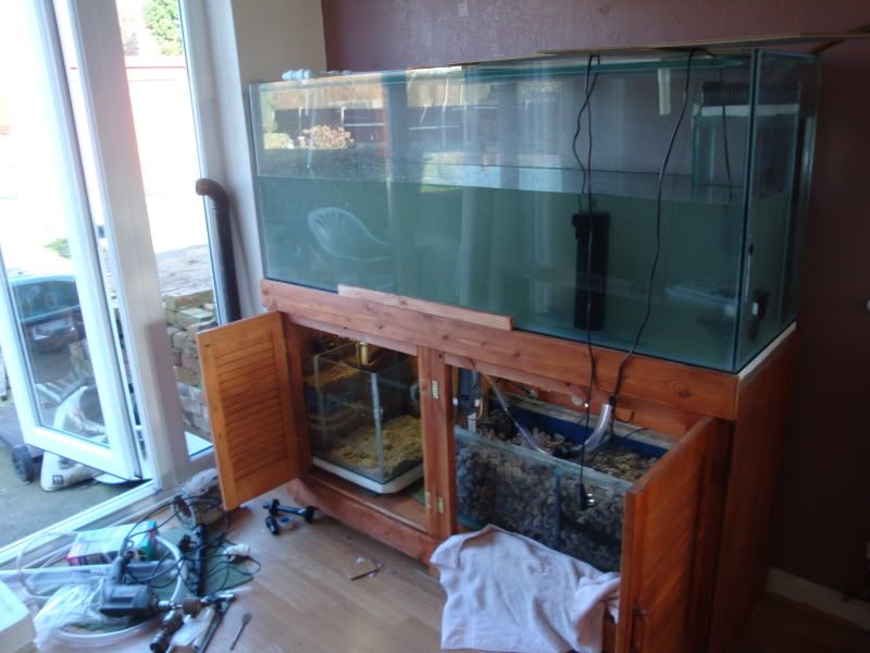 My DIY freshwater twin sump setup.. The noise !! Tropical Fish